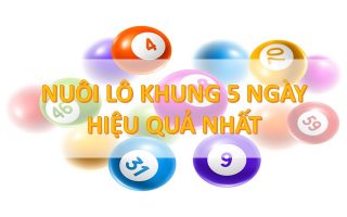 Cầu lô bạch thủ nuôi khung 5 ngày